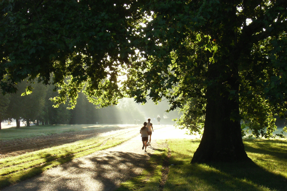 Hyde Park is a popular spot for relaxing and keeping healthy Hyde Park is a popular spot for relaxing and keeping healthy